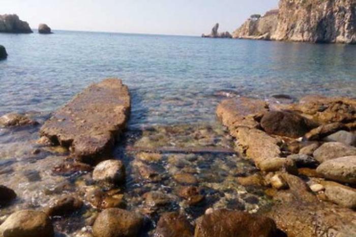 1618318688784_1620688658830