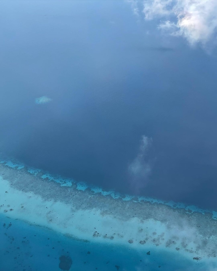 1618330947927_1620688701948