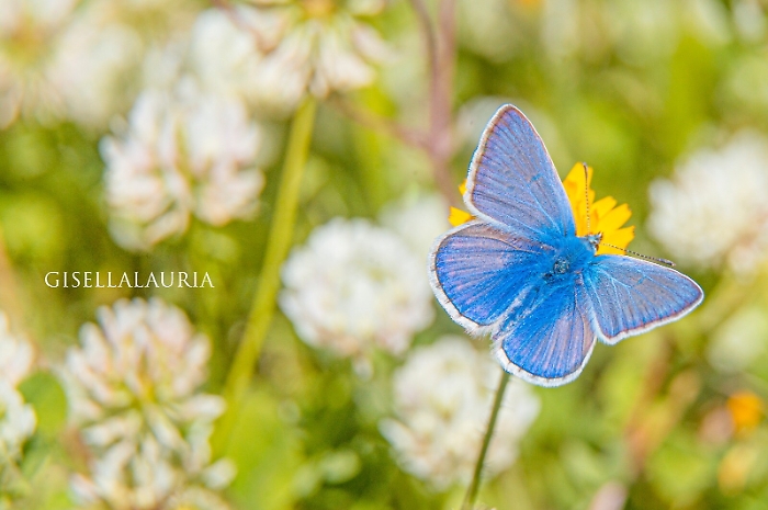 1618337887397_1620688710210