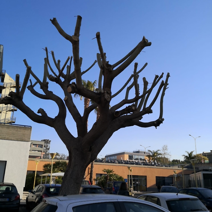 1618420153537_1620688787131