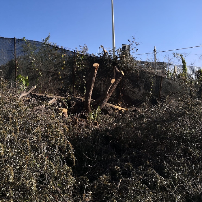 1618420153904_1620688790245