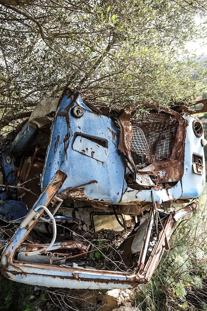 1618569122008_1620688834597