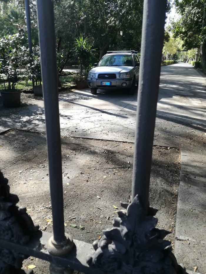 1618765205679_1620689052624