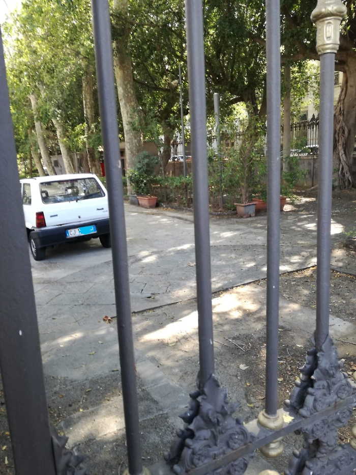 1618765266553_1620689064302