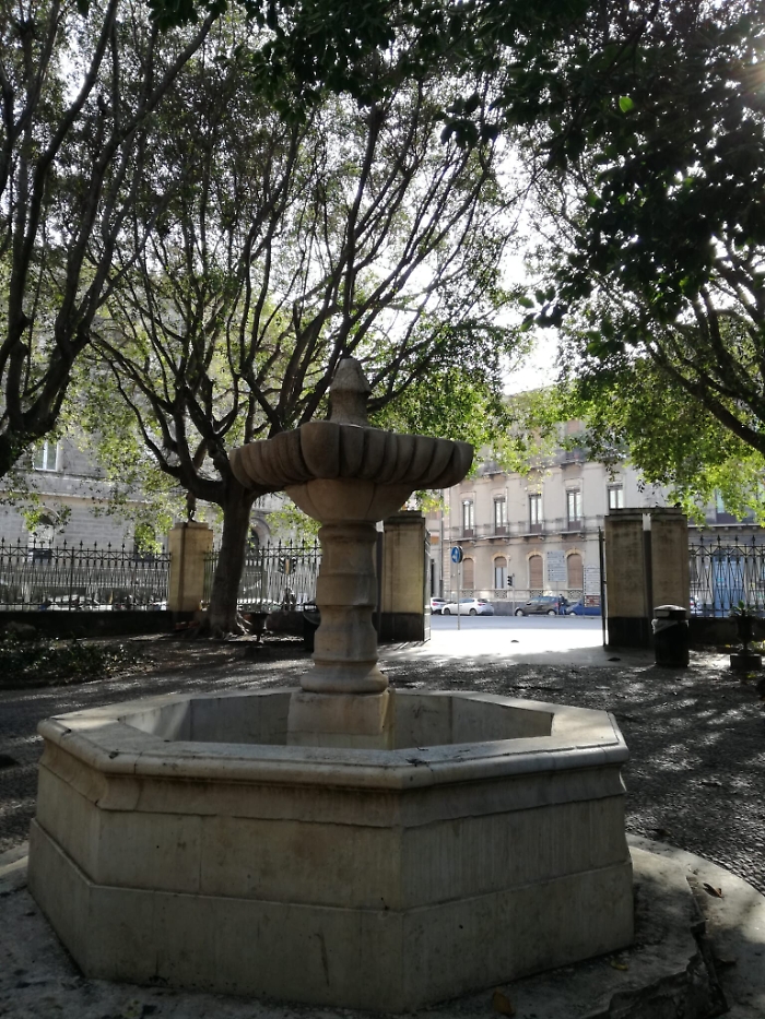 1618765268187_1620689068039