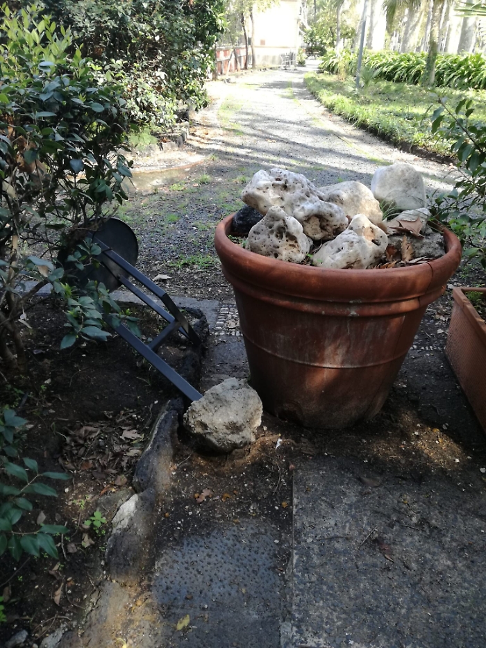 1618765269677_1620689072014