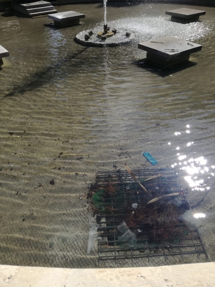 1618765271217_1620689075695