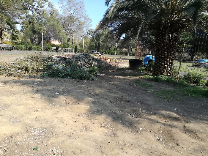 1618765274202_1620689079652