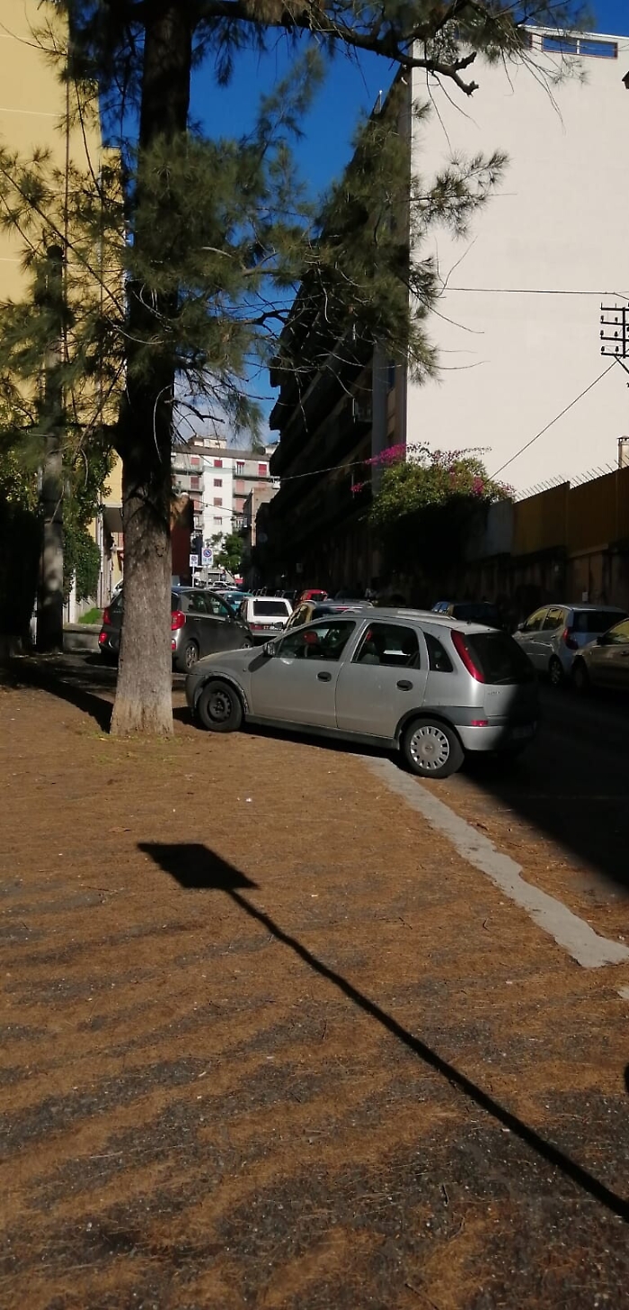 1619116973045_1620670493691