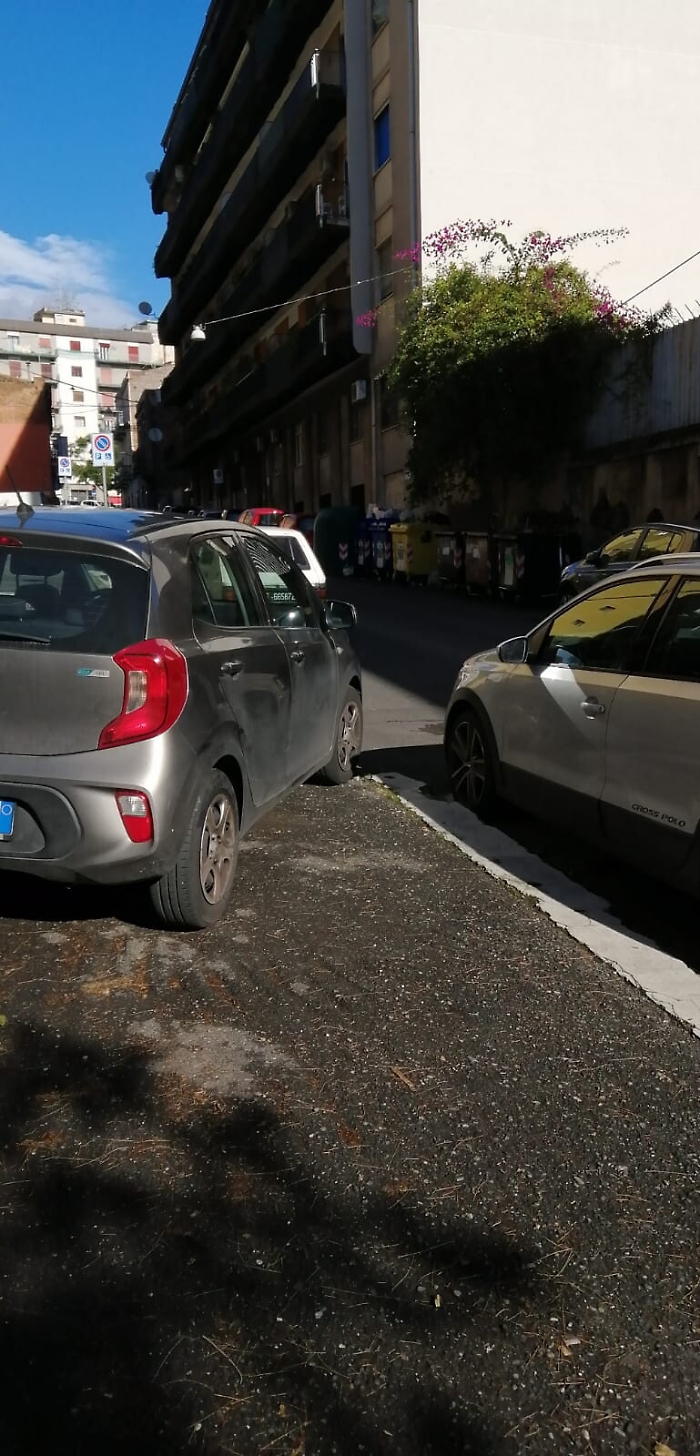 1619116973277_1620670496045