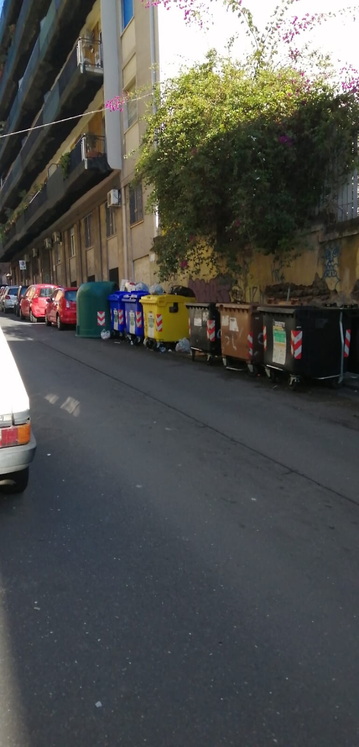 1619116973485_1620670498354