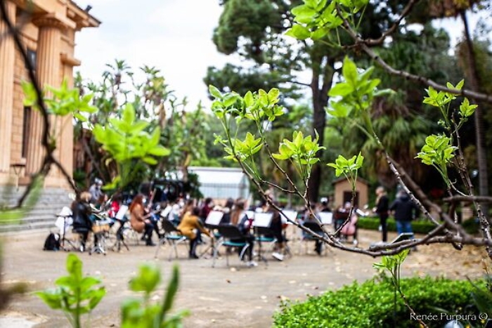 1619280282420_1620670630826