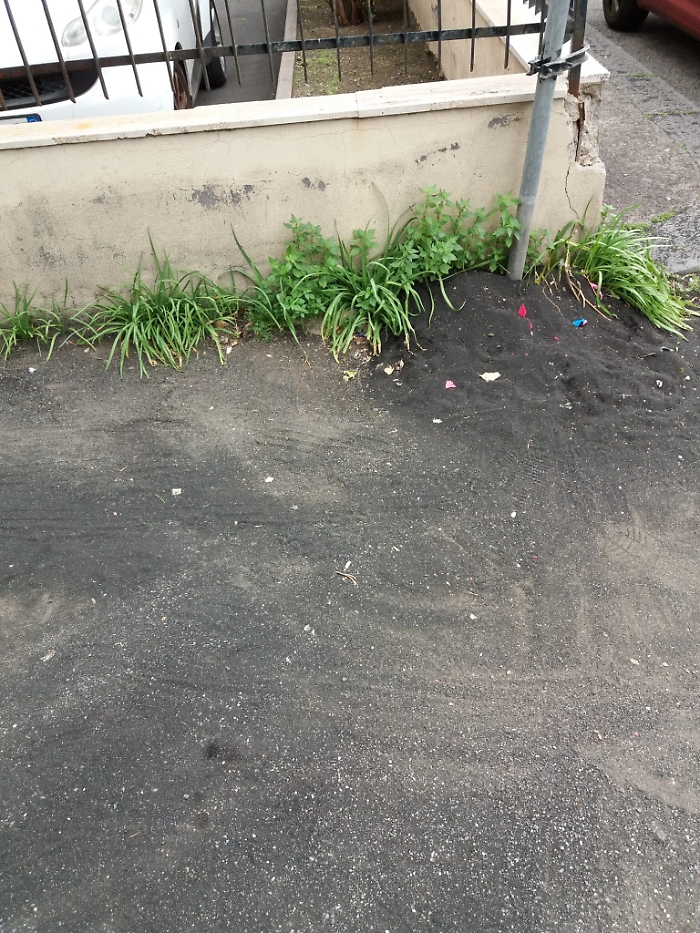 1619282979832_1620670672732