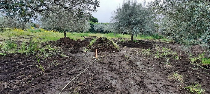 1619283619122_1620670685515