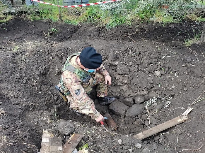 1619283619402_1620670687441