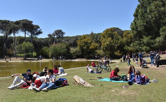 1619355067238_1620670697127