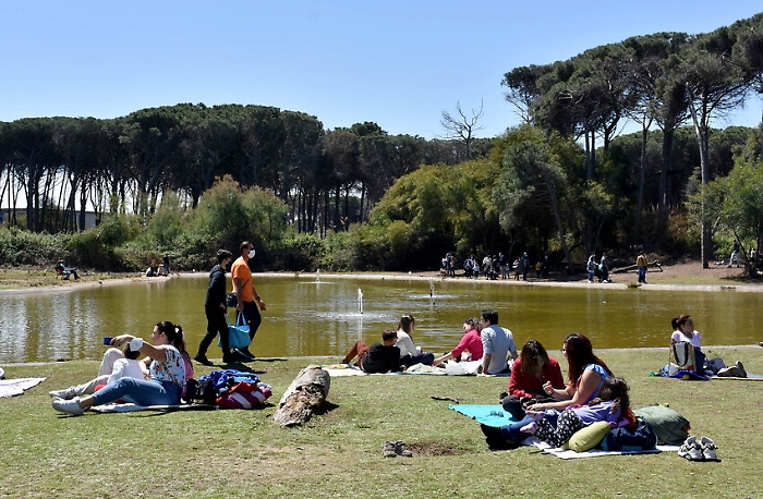 1619355068113_1620670699283