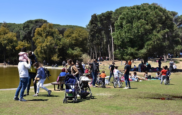 1619355071889_1620670708936