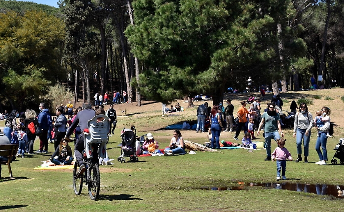 1619355075504_1620670717564