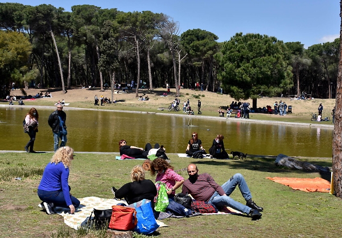 1619355076482_1620670719713