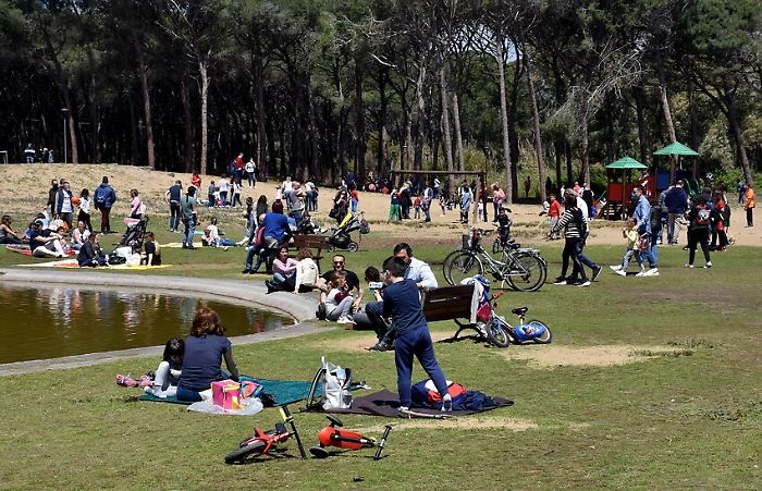 1619355077398_1620670722014