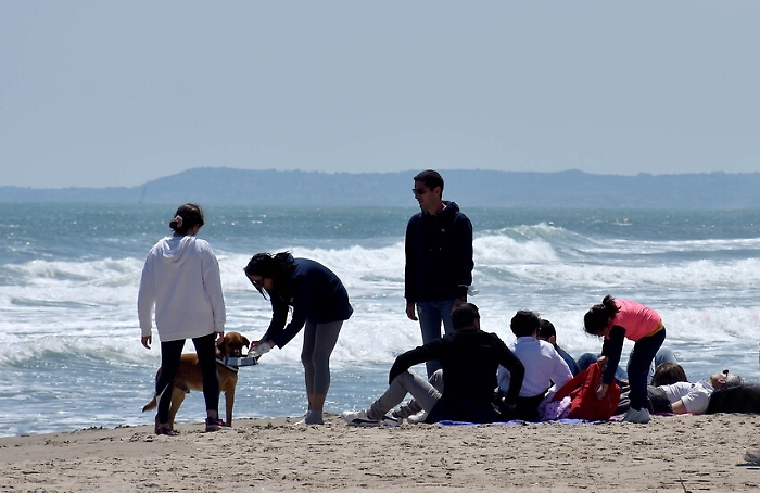 1619355080718_1620670730246