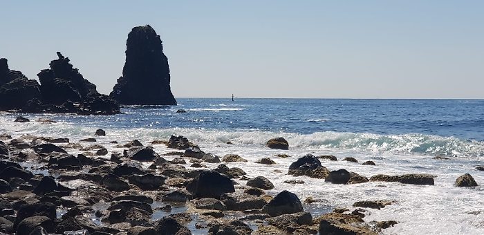 1619365224135_1620670759228