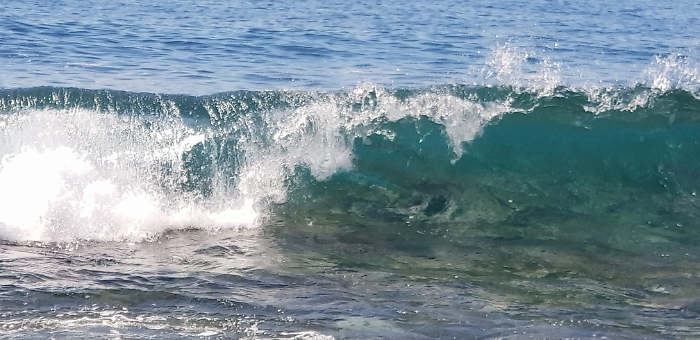 1619365225137_1620670762289