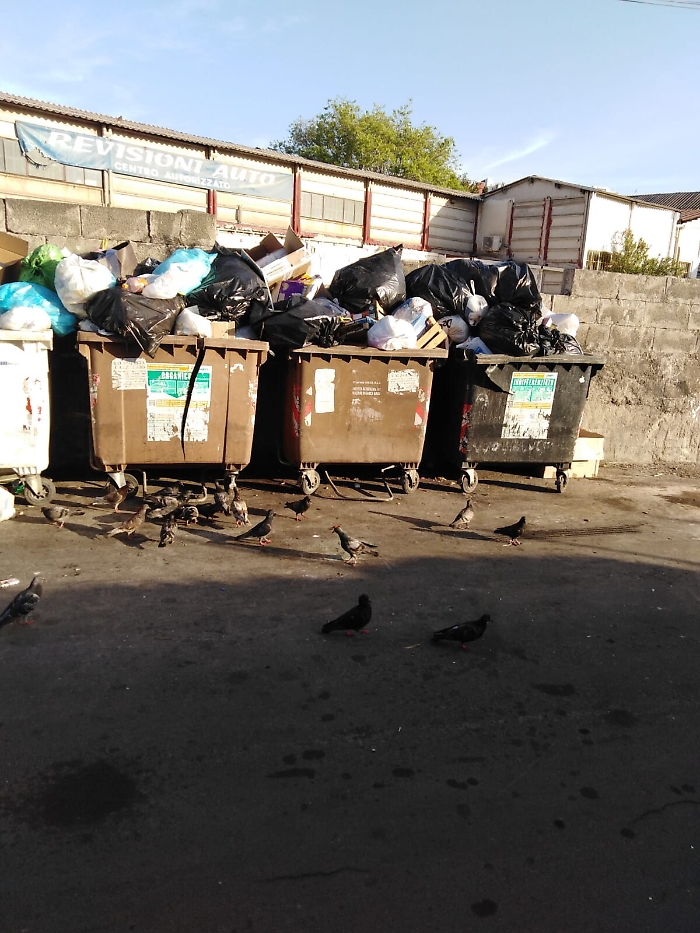 1620148686783_1620670925090