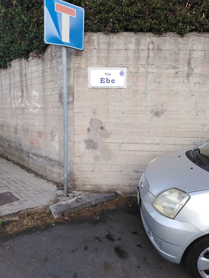 1620148687723_1620670933794