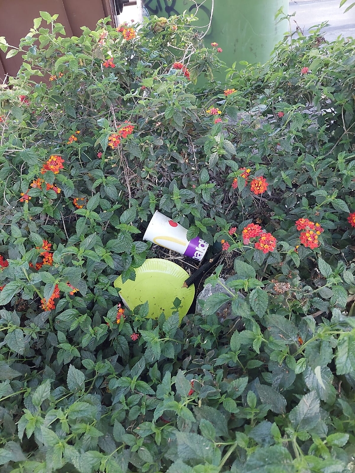 1620148835045_1620670947545