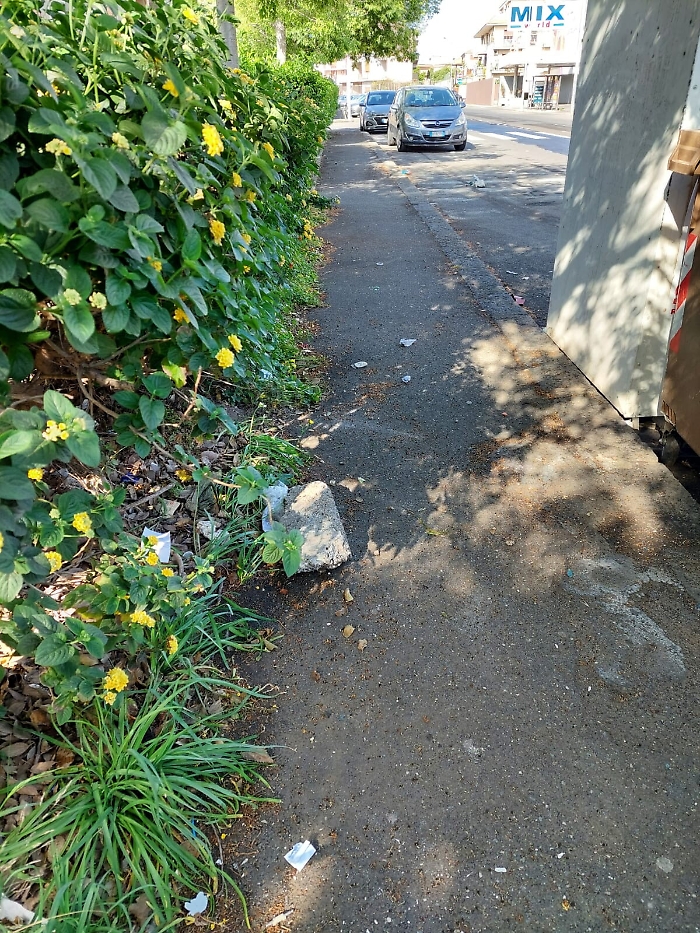 1620148835647_1620670954014