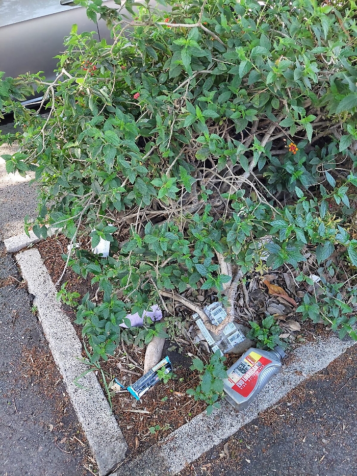 1620148835939_1620670956824