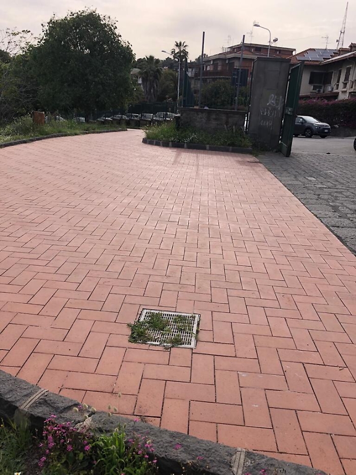 1620149095298_1620670964636