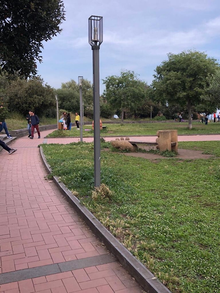 1620149095620_1620670968627