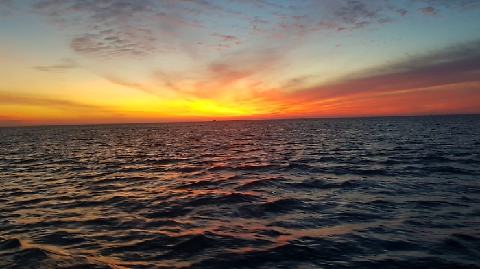 1615657426484_1620700086189