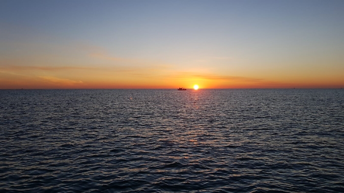 1615657426712_1620700088773