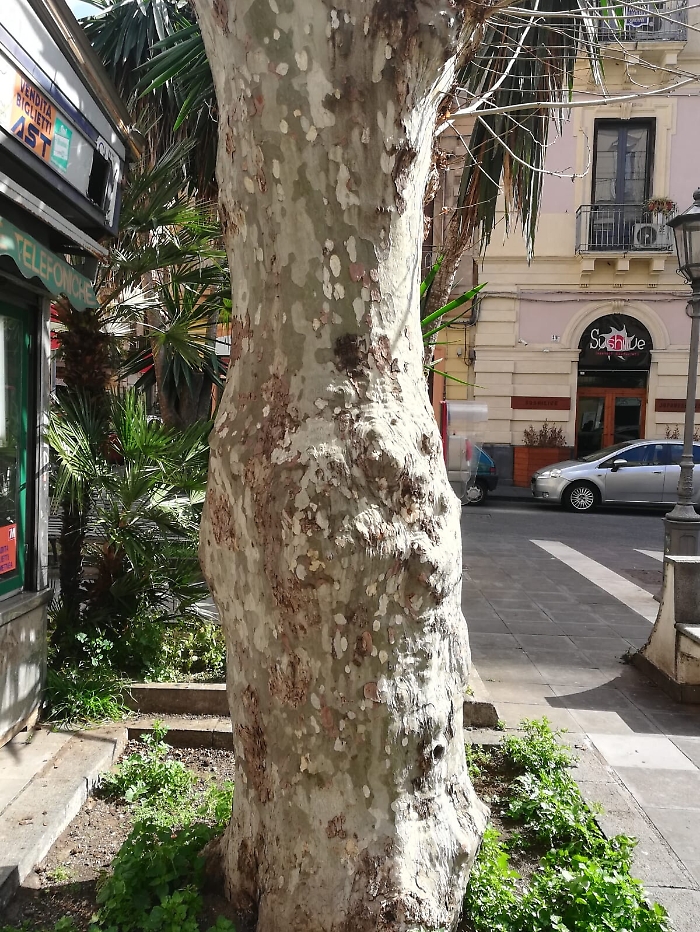 1615658154117_1620700097425