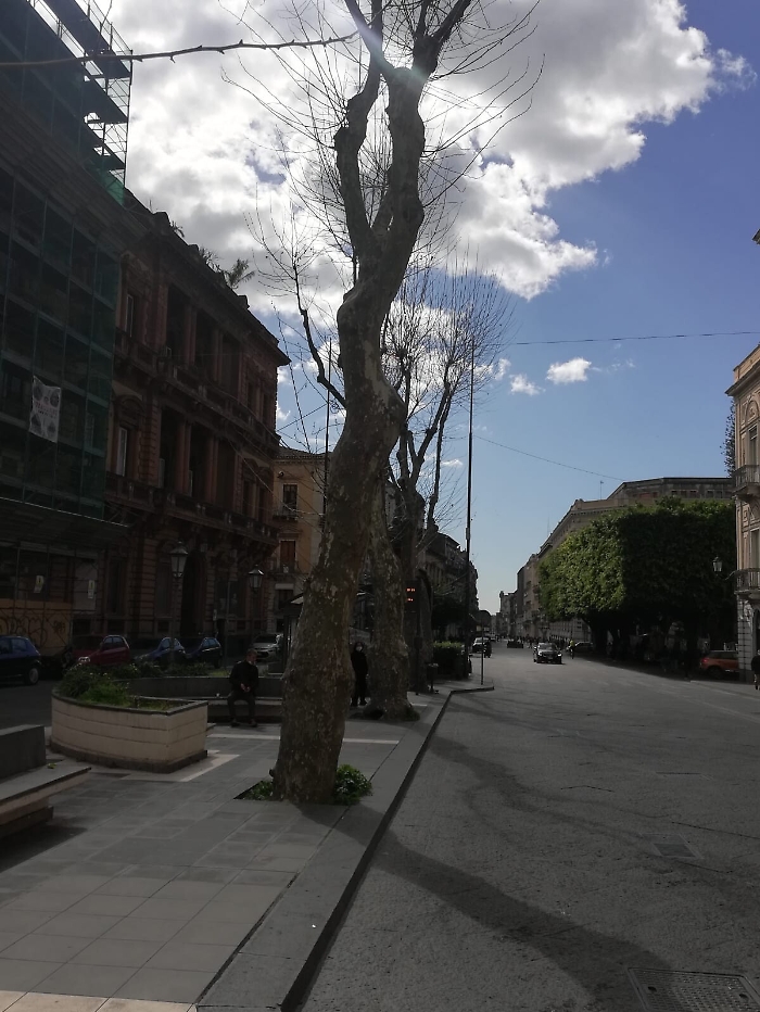 1615658154448_1620700100168