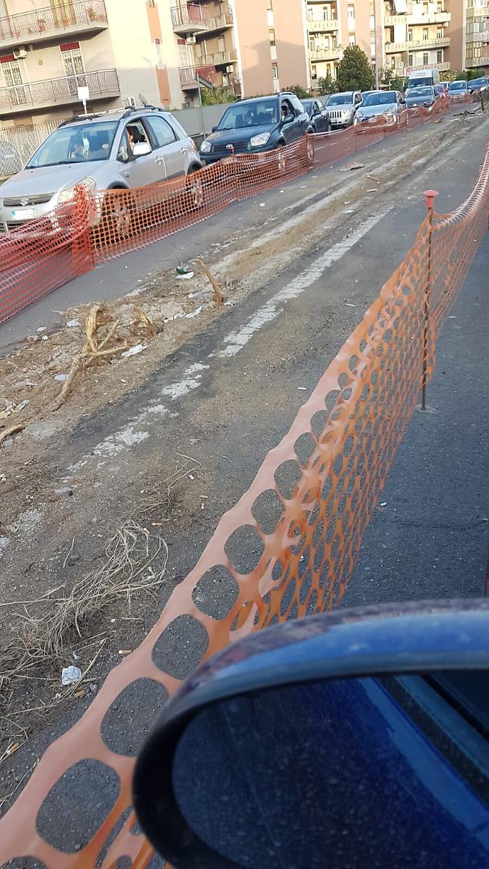 1620407142198_1623162771155