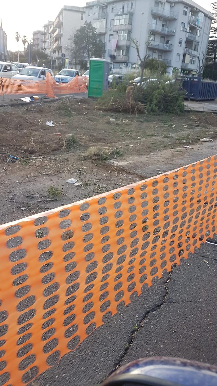 1620407422654_1623162783492