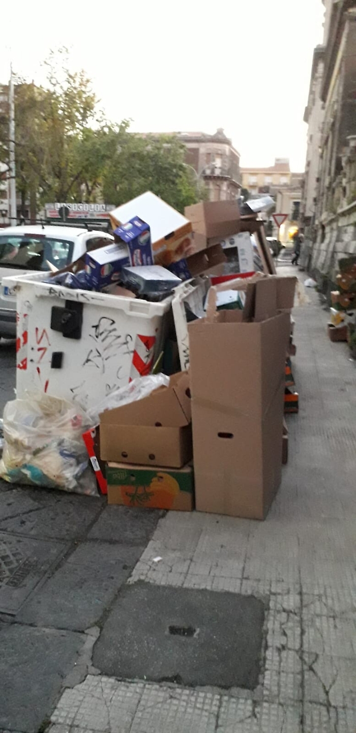 1620577512241_1623162887119