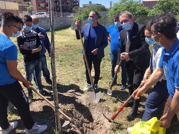 1620580486055_1623162913185