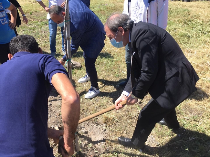 1620580486154_1623162915663