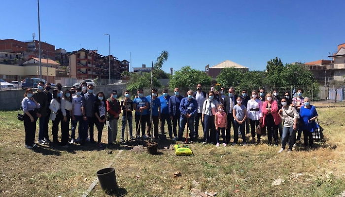 1620580486834_1623162918217