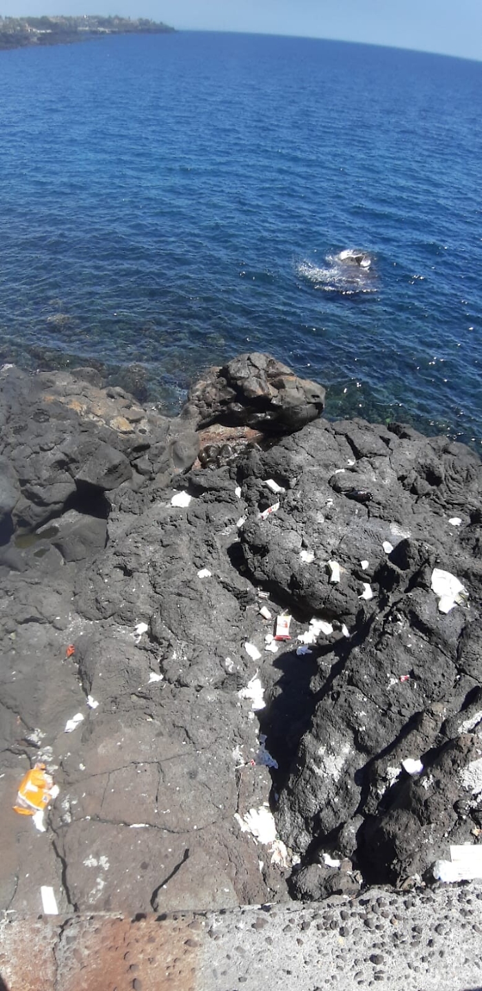 1620926822091_1623153420793