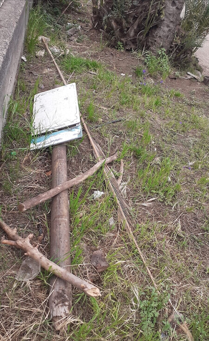 1621183775458_1623153565994