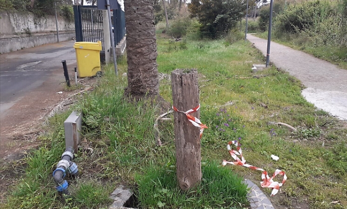 1621183775517_1623153569160