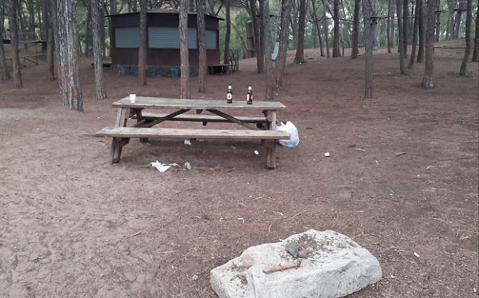 1621183775581_1623153571624