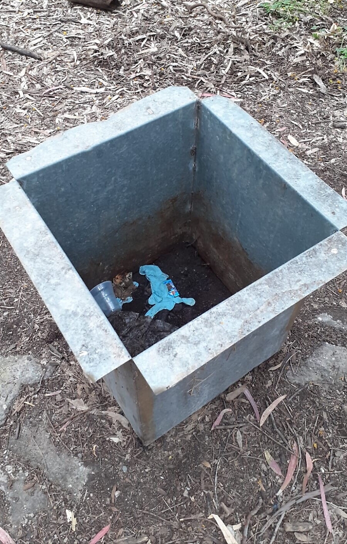 1621183775643_1623153574056